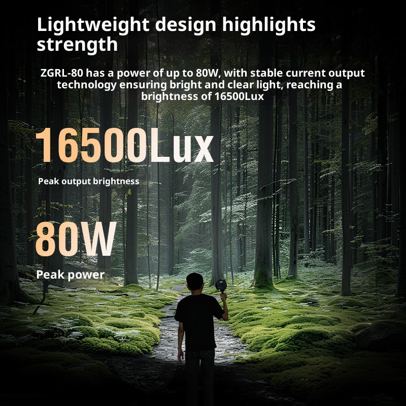 ZGRL80 80W COB Handheld Video  - Outdoor Lighting Video Shooting 리뷰 및 가격