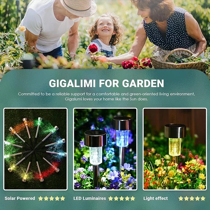 Solar Outdoor Lights Garden La - Landscape Spike Light 리뷰 및 가격