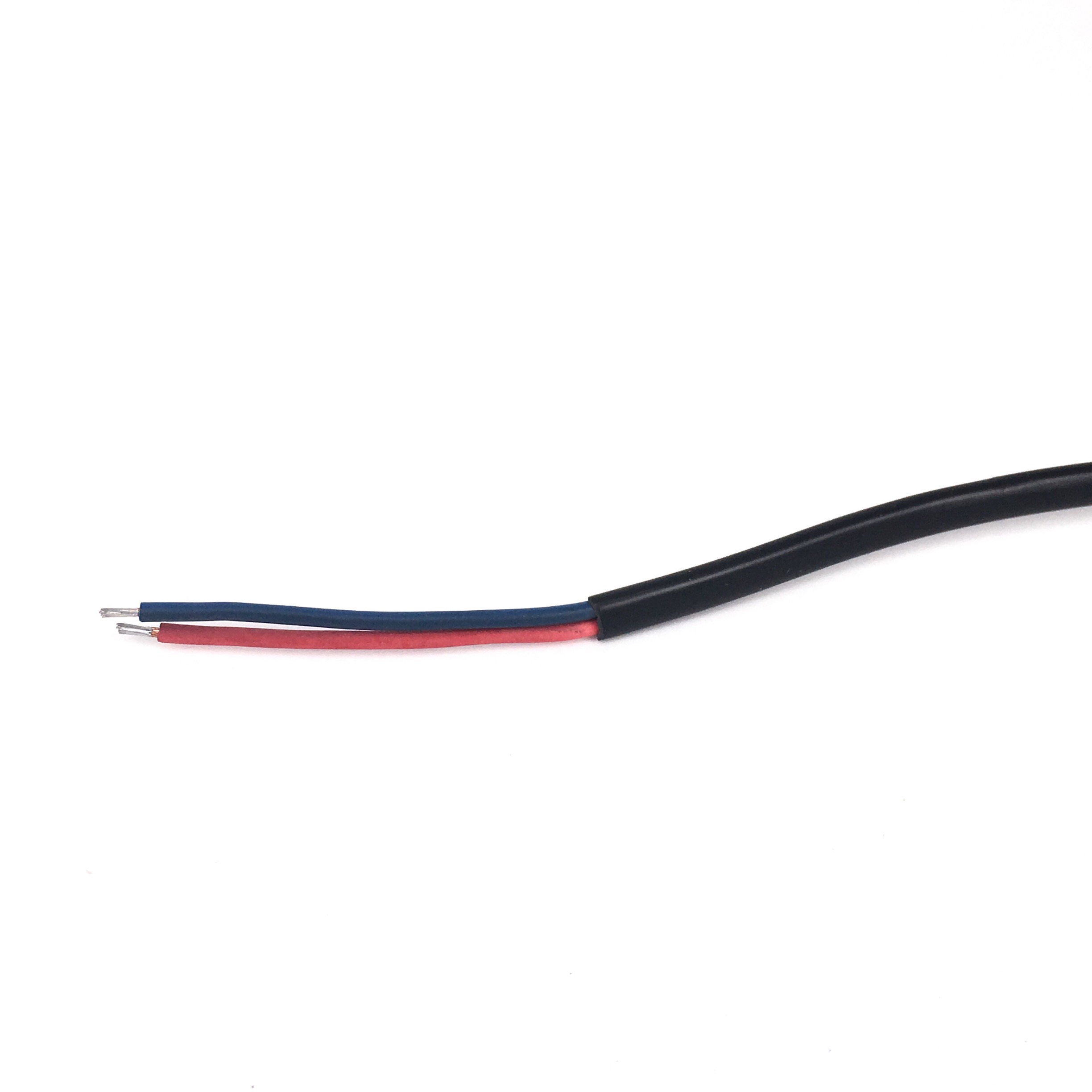 Bltdz EU European AC Power Ext - Outdoor Lighting Japan 리뷰 및 가격