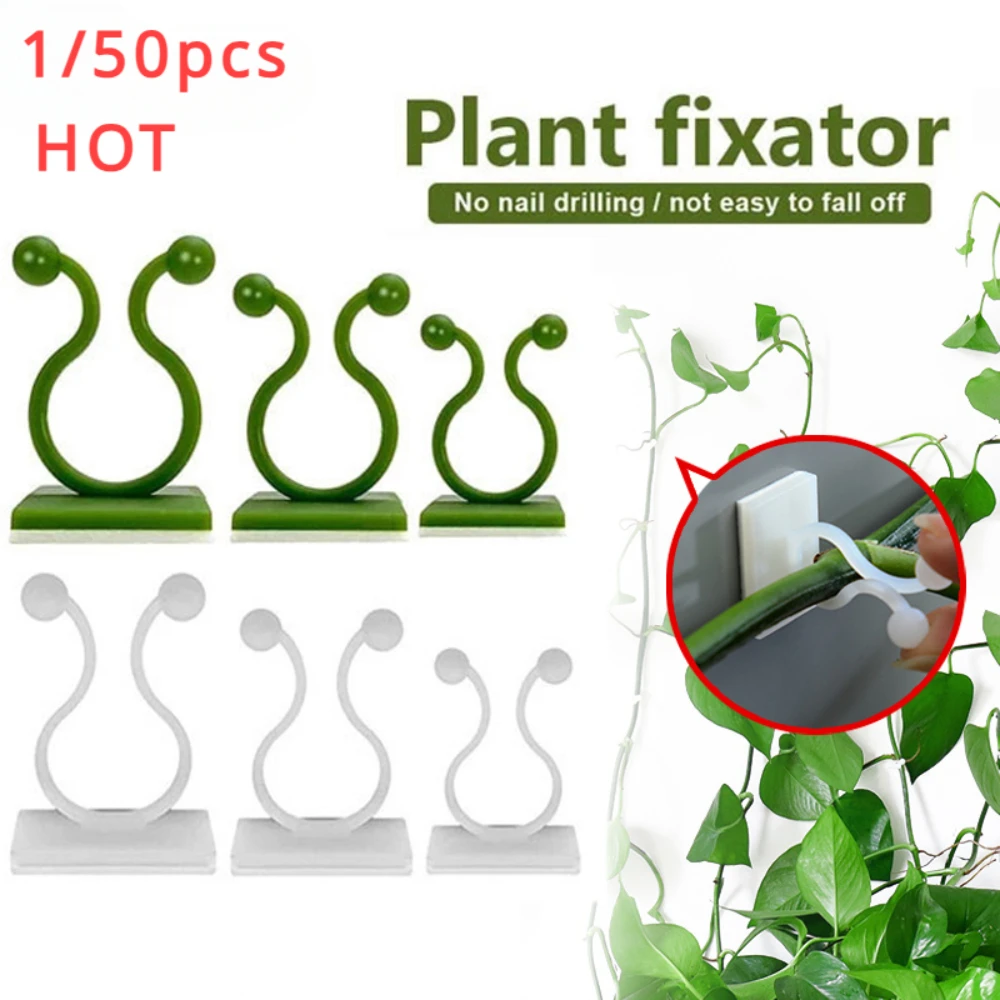 1/30/50Pcs For Garden Accsesor - Outdoor Lighting Amazon 리뷰 및 가격