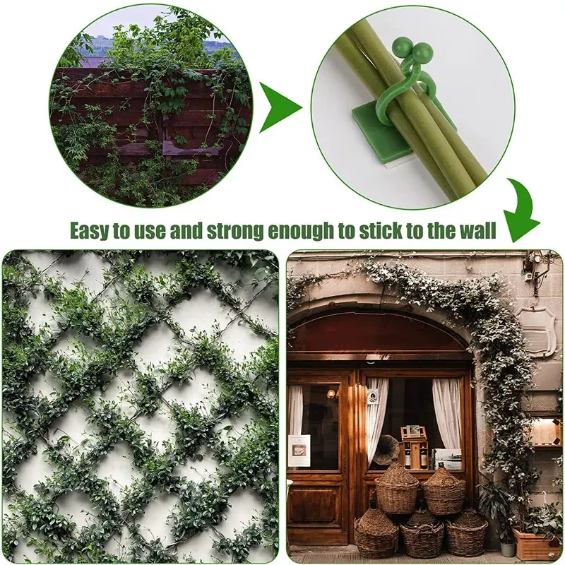 1/30/50Pcs For Garden Accsesor - Outdoor Lighting Amazon 리뷰 및 가격