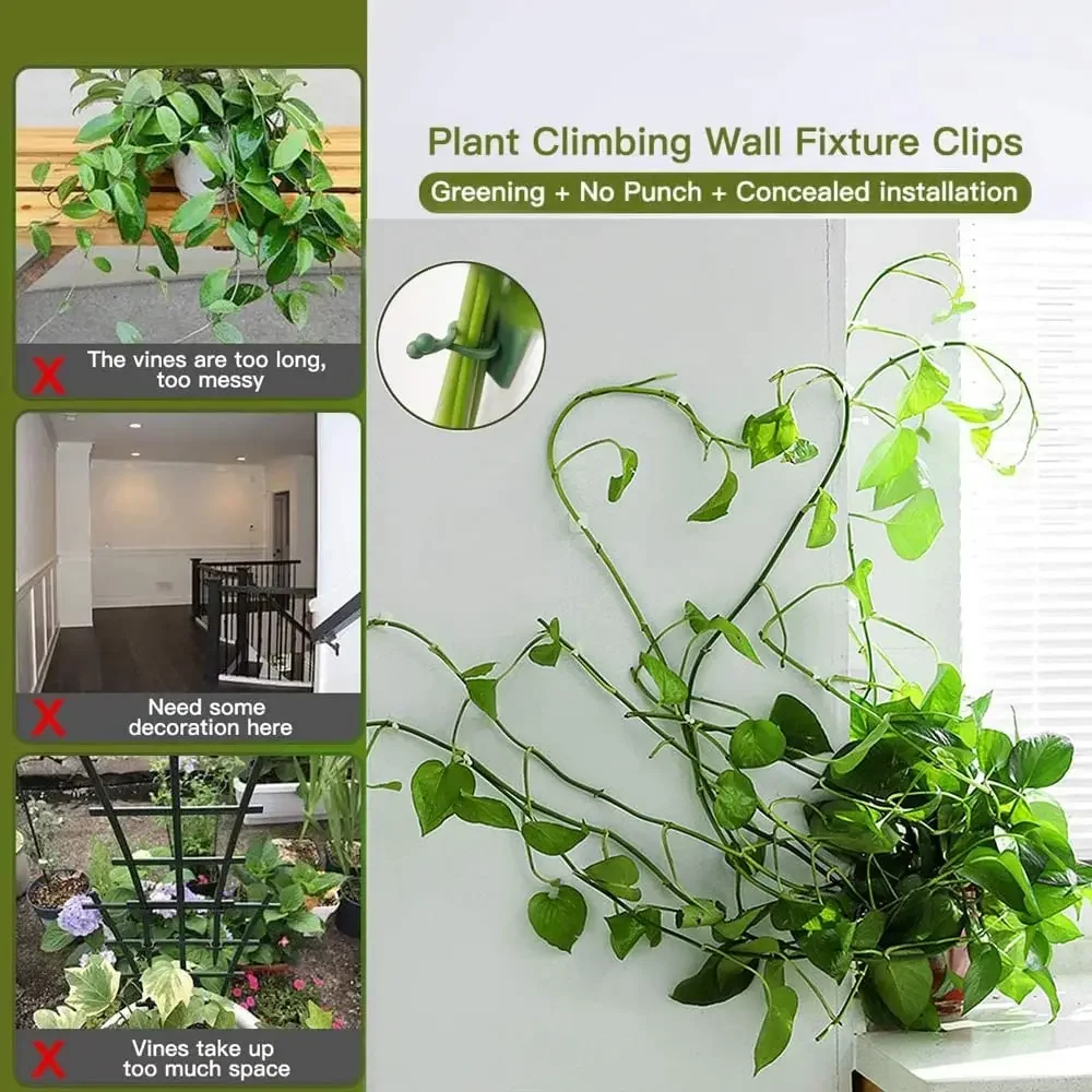 1/30/50Pcs For Garden Accsesor - Outdoor Lighting Amazon 리뷰 및 가격