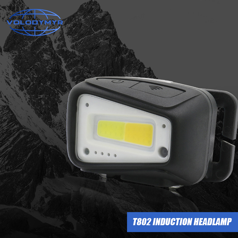 VOLODYMYR Waterproof COB LED H - Motion Sensor Outdoor 리뷰 및 가격